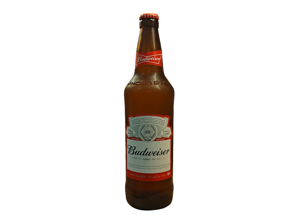 THE BEER EXPERIENCE - Budweiser Premium 650ml Beer