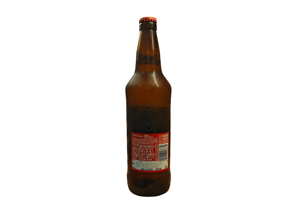 THE BEER EXPERIENCE - Budweiser Premium 650ml Beer