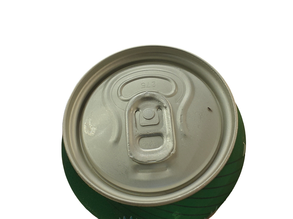 THE BEER EXPEREINCE - KingFisher Premium 500ml Can