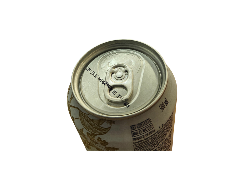 THE BEER EXPERIENCE - Hoegaarden 500ml Can