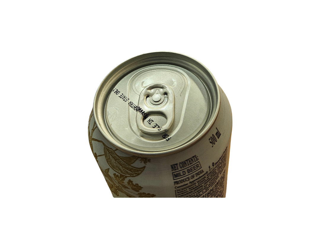 THE BEER EXPERIENCE - Hoegaarden 500ml Can